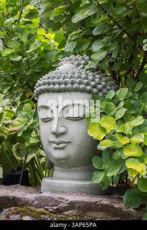 Gris asiatique la sculpture de Bouddha dans le jardin de l'arrière-cour en été. Banque D'Images