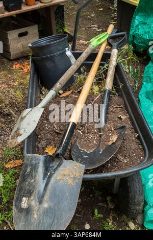 Creuser des pelles dans la brouette en plastique noir rempli de saleté dans le jardin de l'arrière-cour en été. Banque D'Images