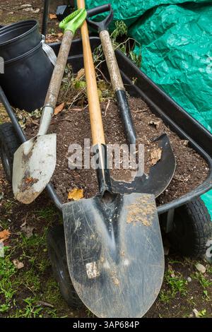 Creuser des pelles dans la brouette en plastique noir rempli de saleté dans le jardin de l'arrière-cour en été. Banque D'Images