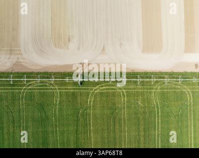Vue aérienne des champs adjacents. Une irriguée et avec culture. L'autre est sur le point d'être ensemencé. Vue aérienne. Tir par drone. Province de Cádiz, Andalousie, SP Banque D'Images