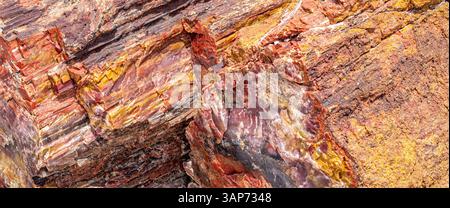 Gros plan de bois pétrifié multicolore montrant des textures minérales superposées et des tons vibrants dans les tons de rouge, jaune et violet. Banque D'Images