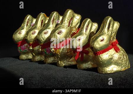 Lindt-Goldhasen in zwei verschiedenen Größen : 50 und 100 Gramm *** Lindt Gold Bunny en deux tailles différentes 50 et 100 grammes Banque D'Images