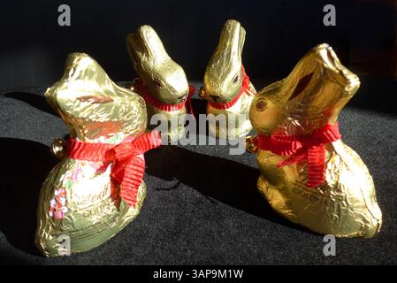 Lindt-Goldhasen in zwei verschiedenen Größen : 50 und 100 Gramm *** Lindt Gold Bunny en deux tailles différentes 50 et 100 grammes Banque D'Images