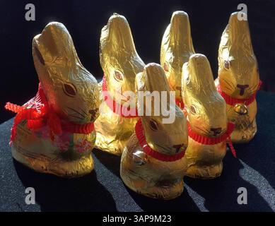 Lindt-Goldhasen in zwei verschiedenen Größen : 50 und 100 Gramm *** Lindt Gold Bunny en deux tailles différentes 50 et 100 grammes Banque D'Images