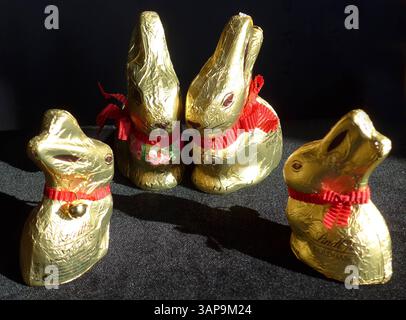 Lindt-Goldhasen in zwei verschiedenen Größen : 50 und 100 Gramm *** Lindt Gold Bunny en deux tailles différentes 50 et 100 grammes Banque D'Images