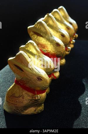 Lindt-Goldhasen in zwei verschiedenen Größen : 50 und 100 Gramm *** Lindt Gold Bunny en deux tailles différentes 50 et 100 grammes Banque D'Images