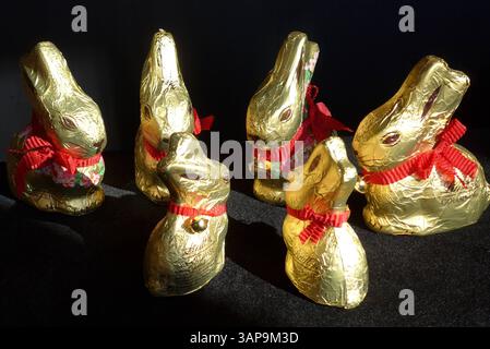 Lindt-Goldhasen in zwei verschiedenen Größen : 50 und 100 Gramm *** Lindt Gold Bunny en deux tailles différentes 50 et 100 grammes Banque D'Images