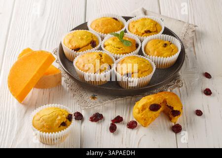 Muffins à la citrouille fraîchement cuits avec des canneberges séchées, des zestes d'orange et des épices en gros plan dans une assiette sur la table. Horizontal Banque D'Images