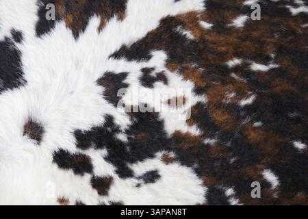 Gros plan texture de la peau de vache blanche, brune et noire Banque D'Images