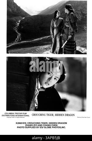 JANVIER 1, 2011 - K20651ES : TIGRE ACCROUPI, DRAGON CACHÉ. ZHANG ZIYI ET CHANG CHEN. FOURNI PAR ES/(image de crédit : © Globe photos/ZUMAPRESS.com) Banque D'Images