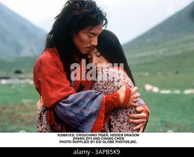 JANVIER 1, 2011 - K20651ES : TIGRE ACCROUPI, DRAGON CACHÉ. ZHANG ZIYI ET CHANG CHEN. FOURNI PAR ES/(image de crédit : © Globe photos/ZUMAPRESS.com) Banque D'Images