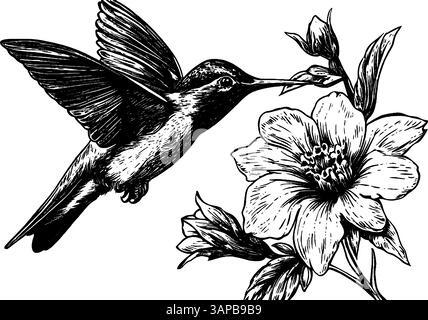 Cette illustration vintage gravée sur bois représente un cheval en pleine galop, mettant en valeur sa construction puissante et sa crinière fluide Illustration de Vecteur