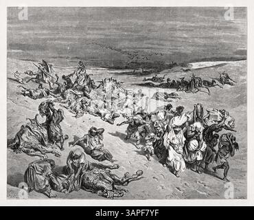 Gravure représentant la cinquième peste - maladie du bétail réalisée en 1866 par Gustave Doré pour illustrer une nouvelle édition de la Sainte Bible. Banque D'Images
