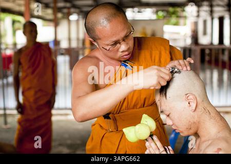 28 juin 2011 - Chiang mai, Chiang mai, Thaïlande - Un moine senior rase la tête d'un homme ordonné moine bouddhiste à Wat Phrathat Doi Saket, un grand complexe de temples à Chiang mai, Thaïlande. Le temple de Doi Saket aurait été construit en l'an 1112, mais il a été rénové plusieurs fois depuis lors. La plupart des hommes thaïlandais entrent dans le clergé bouddhiste, appelé la Sangha, au moins une fois dans leur vie. Leur séjour dans le monastère peut être aussi court qu'une semaine ou un engagement à vie, selon l'homme. Photo de Jack Kurtz / ZUMA Press (crédit image : © Jack Kurtz/ZUMAPRESS.com) Banque D'Images