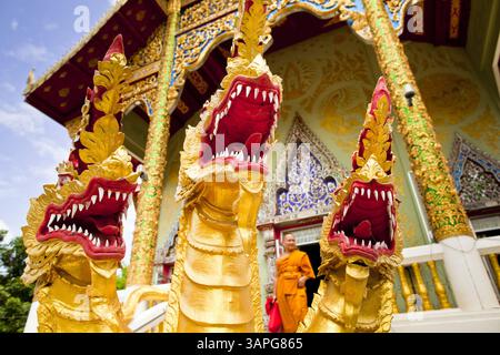 28 juin 2011 - Chiang mai, Chiang mai, Thaïlande - Un moine passe devant le Naga, ou serpents magiques qui gardent le temple, à Wat Phrathat Doi Saket, un grand complexe de temples à Chiang mai, Thaïlande. Le temple de Doi Saket aurait été construit en l'an 1112, mais il a été rénové plusieurs fois depuis lors. Photo de Jack Kurtz / ZUMA Press (crédit image : © Jack Kurtz/ZUMAPRESS.com) Banque D'Images