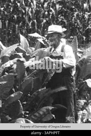 Une photographie de Robert Shook, un fermier de New Found Creek, Caroline du Nord. L'image fait partie de Jack's Diary page 124, documentant la vie agricole et les individus dans les régions rurales de Caroline du Nord. Banque D'Images