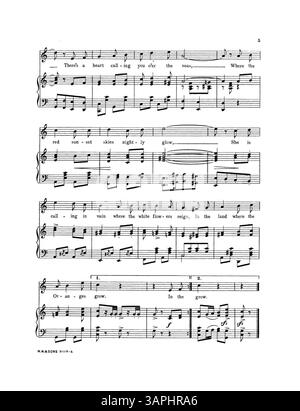 Une composition musicale intitulée 'In the Land Where the oranges Grow', écrite par Dorothy Elliott. La couverture énumère le titre sous compositions de Dorothy Elliott avec le numéro de plaque M.W.&SONS 8609. La couverture arrière présente la publicité d'un éditeur avec un extrait de "Somebody Loves You Dear". Banque D'Images