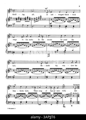 Cette partition professionnelle est pour plusieurs gammes vocales (Soprano, Mezzo-Soprano, ténor ou baryton), avec le numéro de plaque A.P.S. 12288-6. La couverture arrière annonce 'Lyric Francy/A Selection of Songs by American Composers'. Banque D'Images