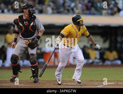15 août 2011 - Oakland, CA, États-Unis - Oakland Athletics David DeJesus se connecte pour un double contre les Orioles de Baltimore dans la deuxième manche de leur match le lundi 15 août 2011 au O.co Coliseum d'Oakland, Californie. (Crédit image : © Jose Carlos Fajardo/Contra Costa Times/MCT/ZUMAPRESS.com) Banque D'Images