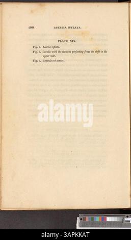 Ce volume de 'American Medical Botany' explore les plantes médicinales indigènes des États-Unis, mettant en valeur leurs utilisations thérapeutiques à travers des illustrations botaniques détaillées. Banque D'Images