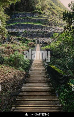 Passerelle en bois surélevée à Sao Jorge nature : long Pont suspendu sur un sentier aux Açores, Portugal. Randonnée et vues panoramiques sur l'île Banque D'Images
