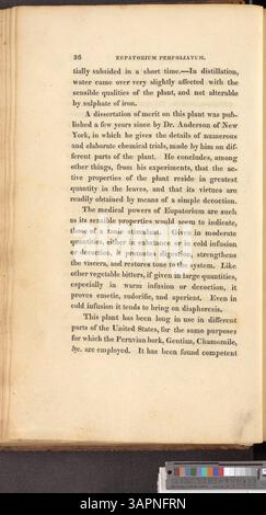 Un guide complet des plantes médicinales indigènes des États-Unis, ce travail fournit des informations détaillées sur les propriétés curatives de chaque plante et son utilisation historique dans les pratiques médicales américaines. Il comprend des descriptions et des illustrations pour une meilleure identification et étude. Banque D'Images