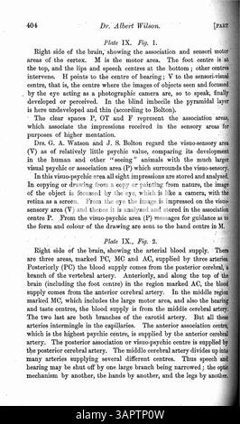 Cet article décrit le cas de Mary Barnes, une jeune fille de 12 ans de 1894 qui a commencé à développer de multiples personnalités suite à une maladie. Au fil des années, 10 personnalités distinctes ont été notées, dont une sourde, une autre aveugle et une paralysée. Dr Wilson documente leurs apparitions, leurs dates de départ et donne un bref aperçu du système nerveux. Banque D'Images