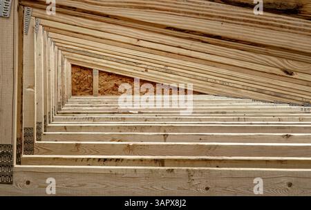 Fermes de support de toiture disposées comme un système triangulé de pièces de bois droites reliées entre elles. Ces éléments structurels sont nouvellement installés. Banque D'Images