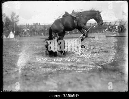 Photographie de la collection Lee Moorhouse représentant des chevaux de chasse. Banque D'Images