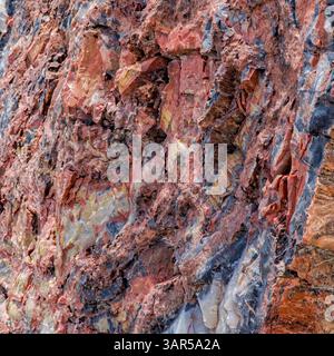 Gros plan de bois pétrifié montrant des bandes stratifiées de dépôts minéraux rouges, bleus et bruns avec une texture fossile rugueuse et des détails géologiques. Banque D'Images