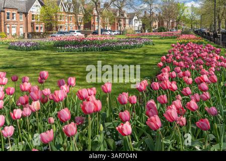 Printemps sur le remblai de Bedford Banque D'Images