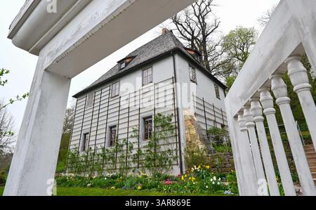 Weimar, Allemagne. 17 avril 2025. Maison de jardin de Goethe à Weimar. La traditionnelle chasse aux œufs de lapin a lieu ici chaque année. Goethe lui-même a créé l'amusement pour enfants en 1777 - d'abord pour les enfants d'amis, plus tard pour son fils August, ses amis et ses petits-enfants. La Klassik Stiftung Weimar perpétue cette tradition et invite les enfants à la chasse annuelle aux œufs de lapin de Goethe dans la prairie autour du jardin de Goethe. Les œufs de Pâques peuvent être recherchés, trouvés et mangés là-bas. Crédit : Hendrik Schmidt/dpa/Alamy Live News Banque D'Images