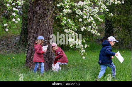 Weimar, Allemagne. 17 avril 2025. Les enfants du 'KulturKindergarten am Goethepark' prennent part à la chasse aux œufs de lapin traditionnelle autour du jardin de Goethe à Weimar. Goethe lui-même a initié l'amusement pour enfants en 1777 - d'abord pour les enfants d'amis, plus tard pour son fils August, ses amis et ses petits-enfants. La Klassik Stiftung Weimar perpétue cette tradition et invite les enfants à la chasse annuelle aux œufs de lapin de Goethe dans la prairie autour du jardin de Goethe. Les œufs de Pâques peuvent être recherchés, trouvés et mangés là-bas. Crédit : Hendrik Schmidt/dpa/Alamy Live News Banque D'Images