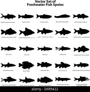 Silhouette de vecteur d'espèces de poissons d'eau douce Pack avec des noms Illustration de Vecteur