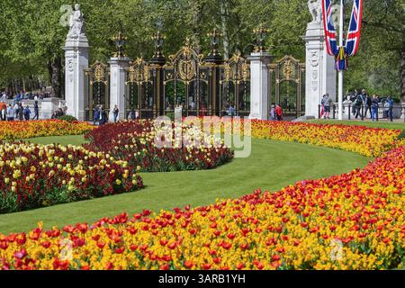 Londres Royaume-Uni 17 avril 2025. Les touristes marchent sous le soleil du printemps devant les parterres de fleurs du palais de Buckingham rempli de tulipes et de colza i la prévision est pour un temps instable avec de fortes pluies pendant le week-end de Pâques à travers l'Angleterre et WalesCredit Amer Ghazzal / Alamy Live News Banque D'Images