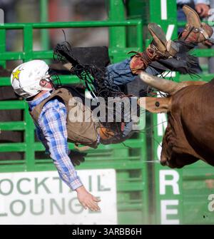 12 juin 2011 : Bull Rider Stormy Wing de Dalhart, TX se fait évincer de Red Hot Mercy lors d'une compétition de Bull Riding à Livermore, CA sur le terrain de rodéo de Livermore. (Crédit image : © William Mancebo/Cal Sport Media/ZUMAPRESS.com) Banque D'Images
