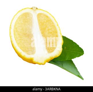 Vue de face du fruit de citron jaune mûr en tranche et ellipse ou moitié ovale avec deux feuilles vertes est isolé sur fond blanc avec chemin de découpage. Banque D'Images