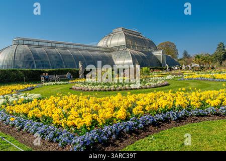Parterres de fleurs devant la Palm House au Royal Botanic Gardens, Kew, Londres, Royaume-Uni Banque D'Images