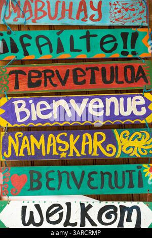 Salutation / Hello signes en bois écrits dans différentes langues Banque D'Images