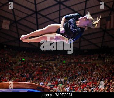 NCAA Div I Athletics : Utah Gymnastics vs Georgia, 22 janvier 2010. Jamie Deetscreek, gymnaste de l'Université de l'Utah, complète un caveau lors d'une rencontre de gymnastique de la NCAA entre les Red Rocks de l'Université de l'Utah et les GymDawgs de l'Université de Géorgie au Jon M. Huntsman Center à Salt Lake City, Utah. L'Utah a gagné la rencontre avec un score de 196,550 - 196.500.(image crédit : © Russ Isabella/Cal Sport Media/ZUMApress.com) Banque D'Images