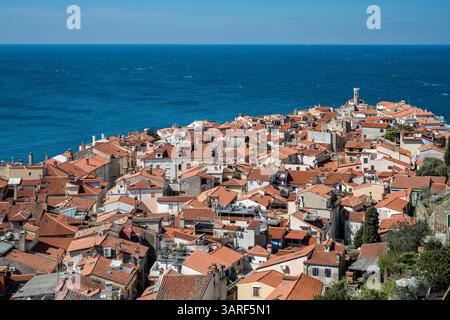 Vue panoramique de Piran, Slovénie Banque D'Images