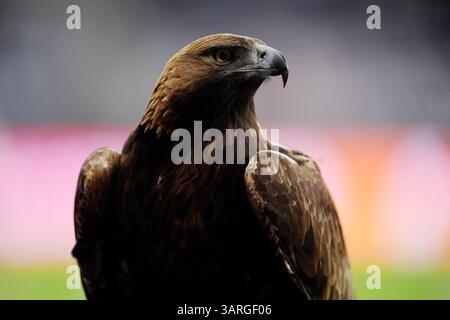Attila, la mascotte de l'aigle doré de l'Eintracht Francfort, avant le match de deuxième manche des quarts de finale de l'UEFA Europa League au Deutsche Bank Park de Francfort, en Allemagne. Date de la photo : jeudi 17 avril 2025. Banque D'Images