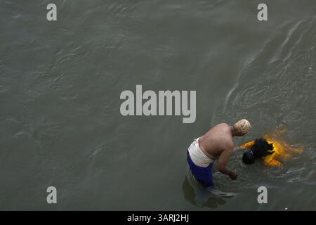 Jan 30, 2010 - Kuala Lumpur, Malaisie - Une dévote hindoue malaisienne met sa tête dans la rivière près du temple sacré des grottes de Batu pendant Thaipusam à Kuala Lumpur le 30 janvier 2010.. Thaipusam est un festival hindou célébré par la communauté tamoule du monde entier sur la pleine lune dans le mois tamoul de Thai. Le festival commémore l'anniversaire de Lord Murugan, le plus jeune fils de Shiva et Parvati, et l'occasion où Murugan a reçu une vel (lance) par Parvati pour vaincre le démon maléfique Soorapadman. La communauté hindoue représente plus de huit pour cent des 28 millions d'habitants de la Malaisie. (Crédit image : © Banque D'Images