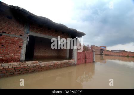 1er septembre 2013 - Varanasi, Uttar Pradesh, Inde - les inondations continuent d'augmenter dans l'Uttar Pradesh, où la situation est restée sombre, les fleuves enflées inondant des milliers de villages, faisant passer le nombre de morts à 280. Selon le rapport de la Commission centrale des eaux, le fleuve Ganga coule au-dessus de la marque rouge à Phaphamau, Mirzapur, Varanasi et Ballia. (Crédit image : © Prasanta Biswas/ZUMA Wire) Banque D'Images