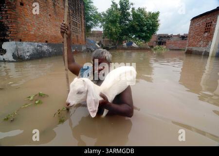 1 septembre 2013 - Varanasi, Uttar Pradesh, Inde - Un homme transporte sa chèvre dans des rues inondées. Les eaux de crue continuent d'augmenter en Uttar Pradesh, où la situation est restée sombre, les fleuves enflés inondant des milliers de villages, ce qui porte le nombre de morts à 280. (Crédit image : © Prasanta Biswas/ZUMA Wire) Banque D'Images