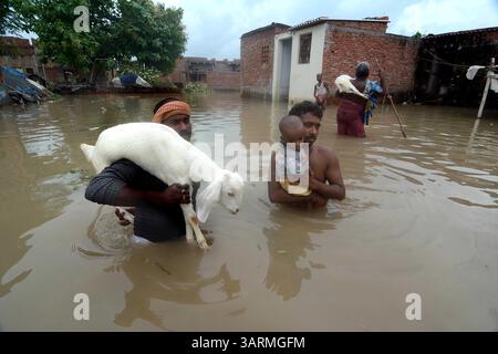 1 septembre 2013 - Varanasi, Uttar Pradesh, Inde - les gens marchent leurs chèvres et leurs enfants. Les eaux de crue continuent d'augmenter en Uttar Pradesh, où la situation est restée sombre, les fleuves enflés inondant des milliers de villages, ce qui porte le nombre de morts à 280. Selon le rapport de la Commission centrale des eaux, le fleuve Ganga coule au-dessus de la marque rouge à Phaphamau, Mirzapur, Varanasi et Ballia. (Crédit image : © Prasanta Biswas/ZUMA Wire) Banque D'Images