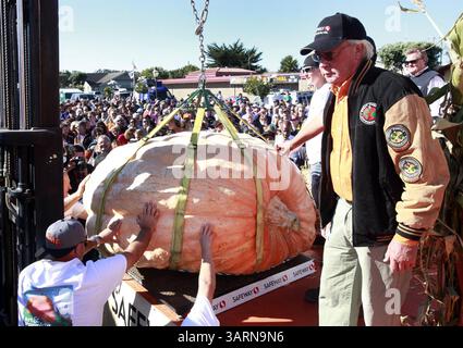 14 octobre 2013 - Half Moon Bay, CA, États-Unis - Gary Miller de Napa, Californie, a remporté le championnat du monde Safeway Pumpkin peser avec sa citrouille de 1985 lb à Half Moon Bay, Calif, le lundi 14 octobre 2013. C'est la plus grande citrouille à remporter le concours en 40 ans d'histoire. (Crédit image : © Karl Mondon/MCT/ZUMAPRESS.com) Banque D'Images