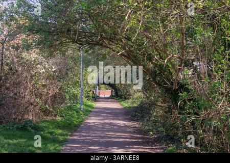 Sentier parallèle à Prittle Brook Greenway, Leigh-on-Sea, Essex, Angleterre, Royaume-Uni, un jour ensoleillé de printemps. (Une connexion sans trafic pour cy Banque D'Images