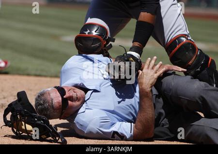 5 juin 2013 - Philadelphie, PA, États-Unis - John Hirschbeck, arbitre de plaque à domicile, réagit après avoir été touché par une balle lors de la 7e manche d'un match de la MLB entre les Phillies de Philadelphie et les Marlins de Miami au Citizens Bank Park à Philadelphie, Pennsylvanie, mercredi 5 juin 2013. Phillies a battu Marlins, 6-1. (Crédit image : © David Maialetti/MCT/ZUMAPRESS.com) Banque D'Images