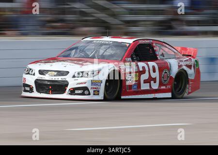 3 novembre 2013 - Fort Worth, Texas, U. S - pilote de la Sprint Cup Series Kevin Harvick (29) en action lors de la course NASCAR Sprint Cup Series AAA 500 au Texas Motor Speedway à Fort Worth, Texas. (Crédit image : © Dan Wozniak/ZUMAPRESS.com) Banque D'Images